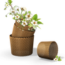 [RES] Flowers in the Basket PNG