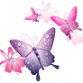 [Res] Decorative Butterflies PNG