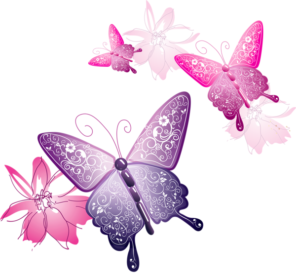 [Res] Decorative Butterflies PNG