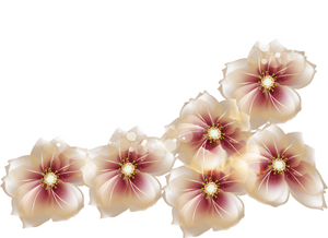 [RES] Brown Flowers PNG