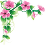 [RES] Floral Border PNG