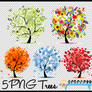 5 PNG Trees