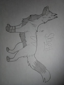 [Gift] Shay the Wolf!