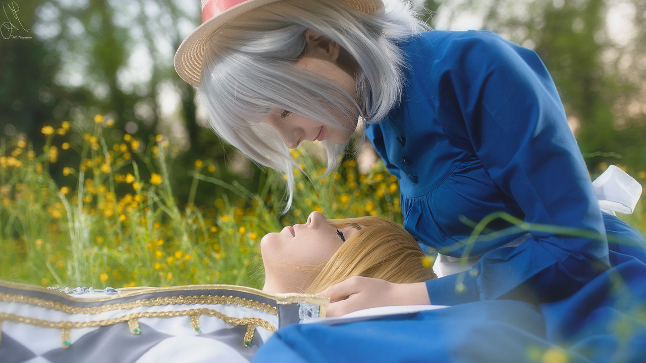 Howl's Moving Castle Howl and Sophie 2 by KiaraBerry on DeviantArt