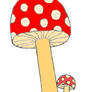 Mushroom