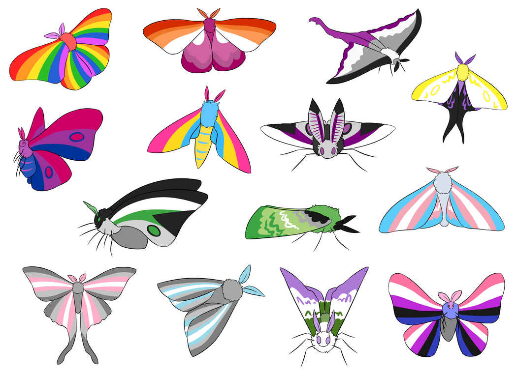 Pride Insects Pride moths by ilikecorvids on DeviantArt
