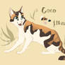 Cat Adoptable - Coco (CLOSED)