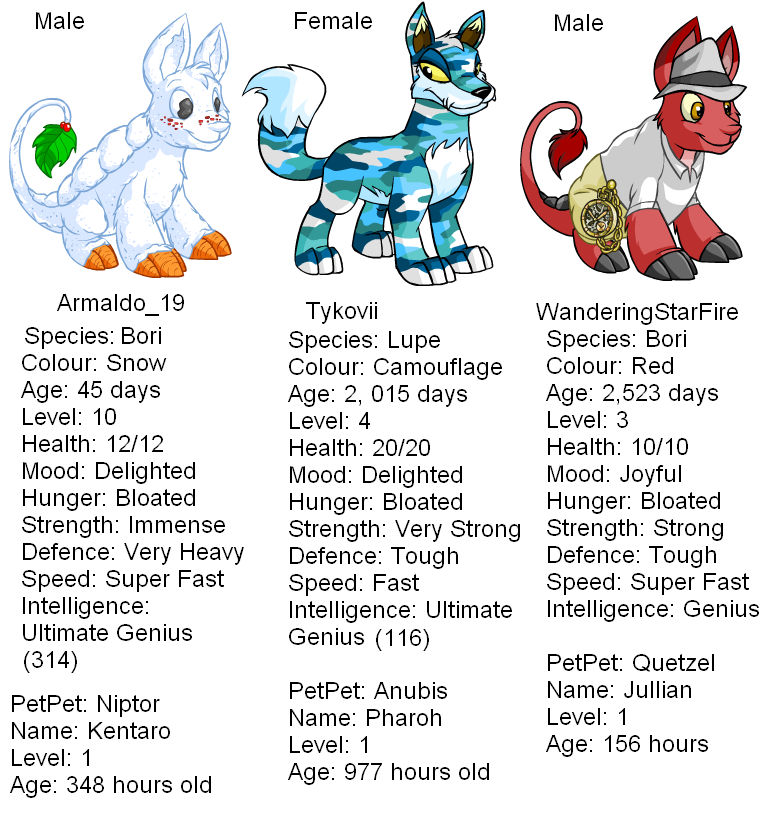 My Neopets by Claire-Cooper on DeviantArt