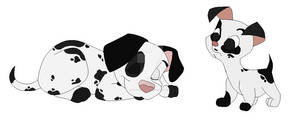 Dalmatian Adopt.