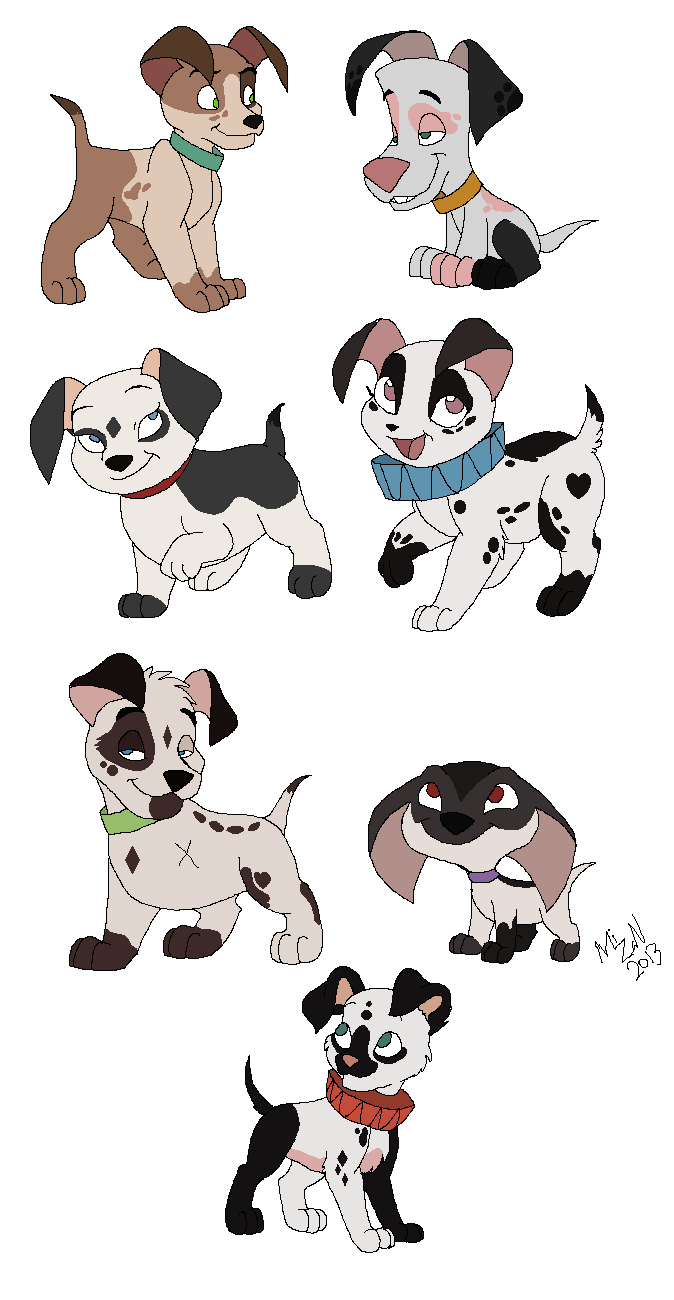 Pups for adoption