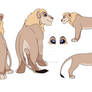 Male lion Adopt (CLOSED)