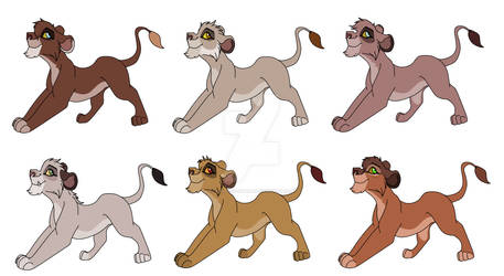 Lioness adopts (OPEN/Price Drop)