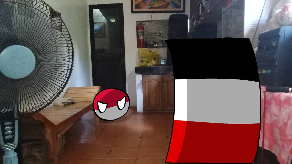 Reichtrangle Reichtangle And Polen 1 by dxdai28ALT on DeviantArt