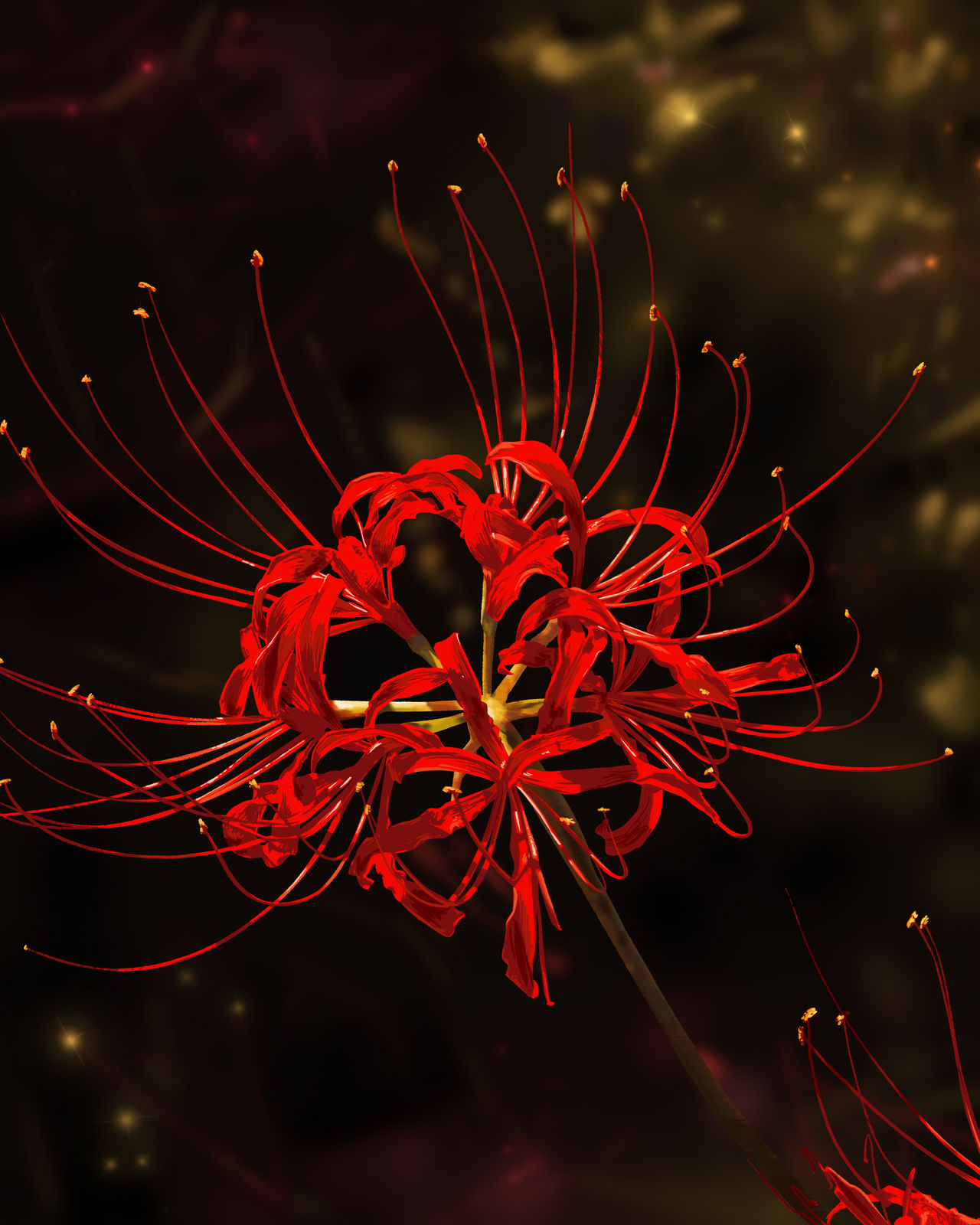 Red Spider Lily Study by DanishKaushik on DeviantArt