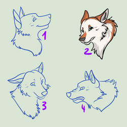 Your Wolf Headshots