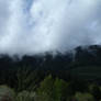 Mirkwood
