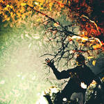 reflection of autumn by StopScreamGraphy