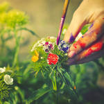 colors of our life by StopScreamGraphy