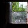 abandoned cabins window