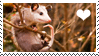 opossum l o v e 2.0 by A-jean