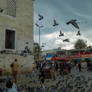 Pigeons Outside The Spice Market