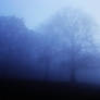 .the.fog.