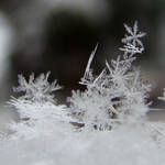 .snowflakes. by candymax