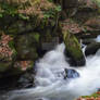 healey dell 11