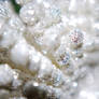 xmas macro 004