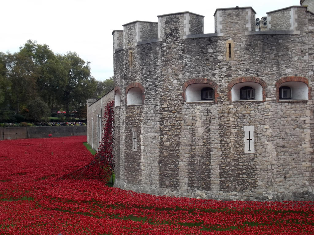 Poppy Rivers Poppy River by Captured-Being on DeviantArt