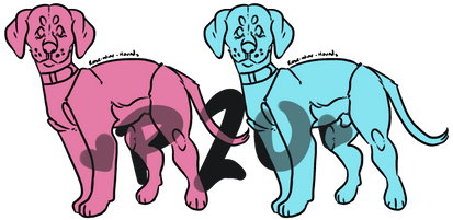 P2U - APBT - Cane Corso - Great Dane - Puppy Base