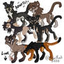 Lion Adopts!
