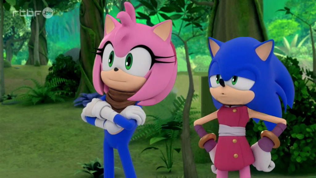 Sonic and Amy swapped Heads \SwappyShira by SwappyShira on DeviantArt