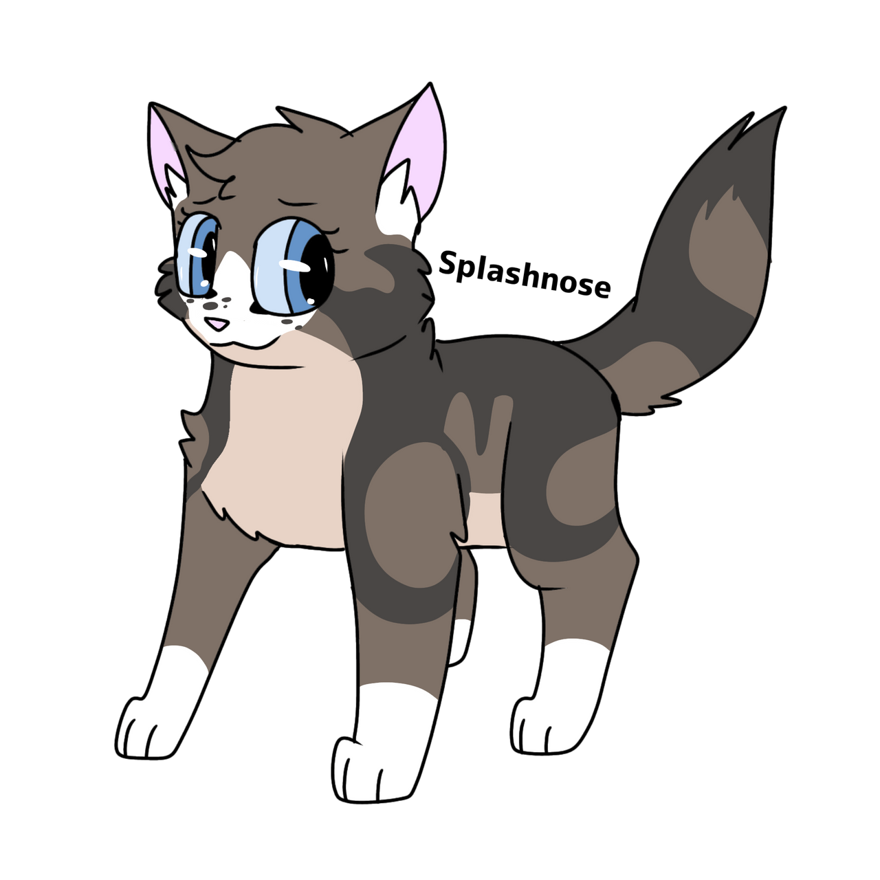 Fallowkit Splashnose F2U Design by Willowfire21 on DeviantArt