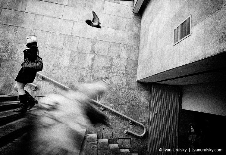 down by pivan down by pivan