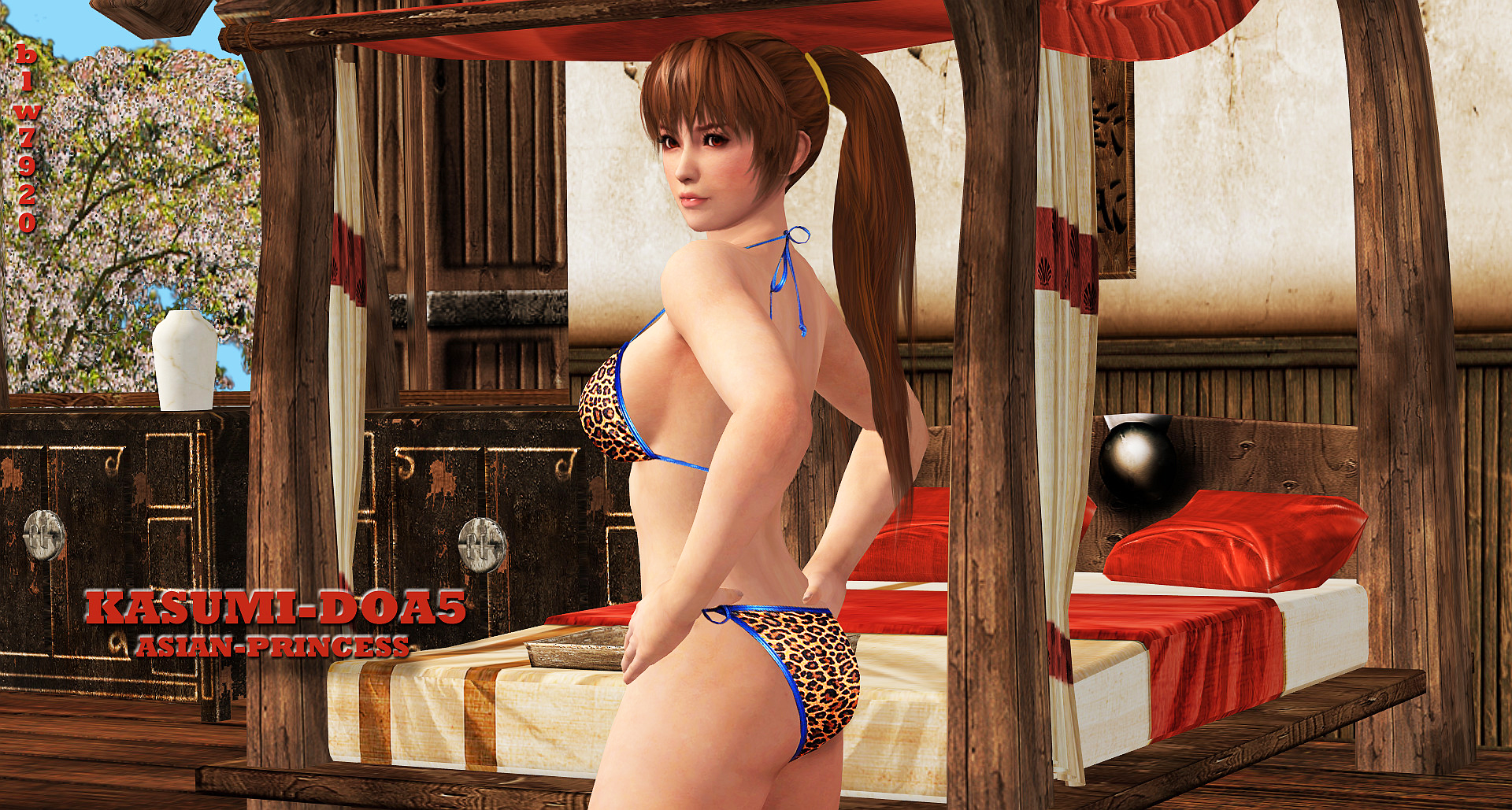 Kasumi-DOA5  ASIAN PRINCESS