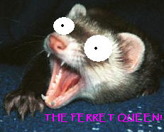 Ferret Queen