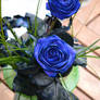 Blue rose :stock: