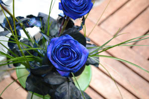 Blue rose :stock: