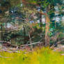 Cedar Grove at Menodocino by Albert Handell OPAM