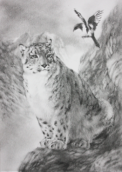 snow leopard aceo