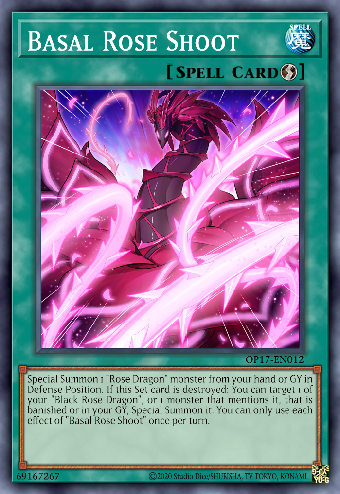 Basal Rose Shoot by Gena97 on DeviantArt