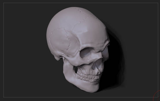 Skull Render