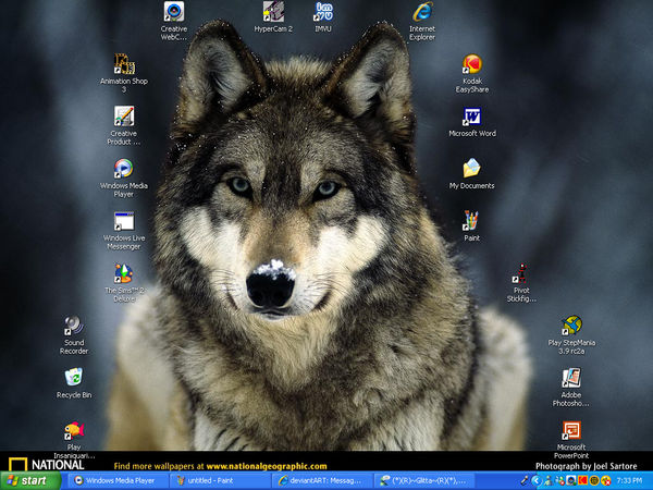 Wolfuu desktop 8D