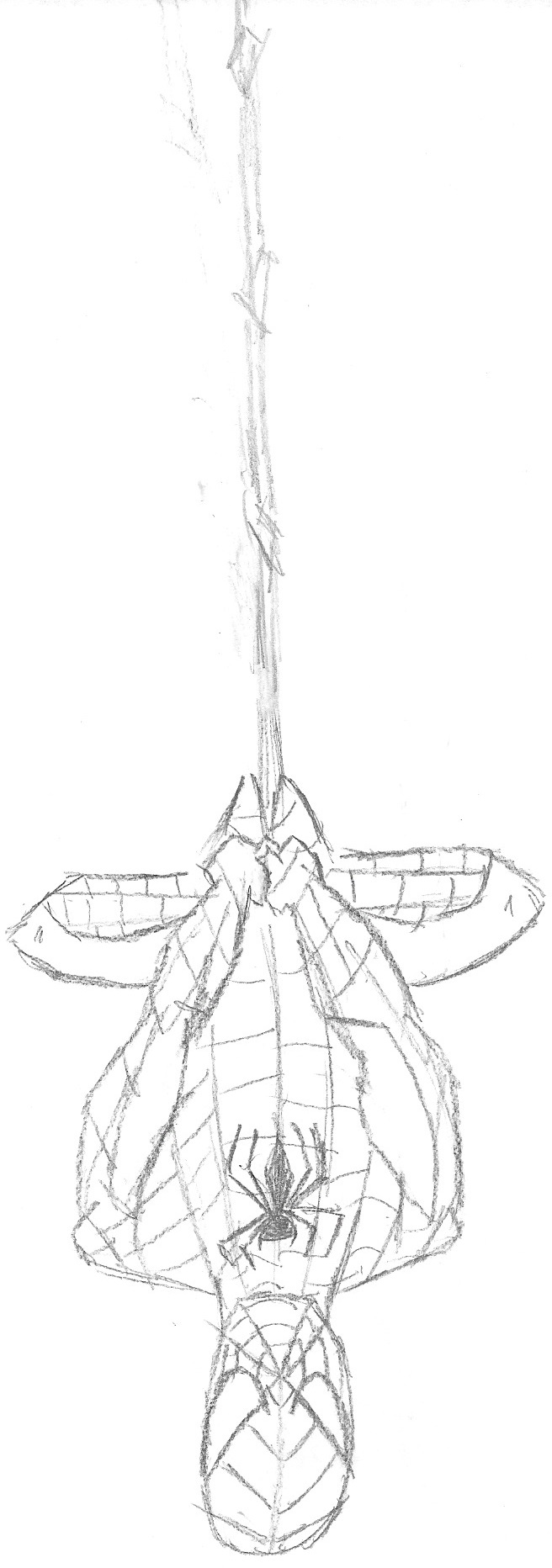 Spiderman Hanging Upsidedown Sketch by queenelizathedog on DeviantArt