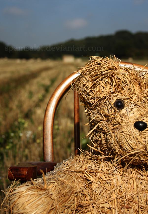 Hay there,Bear