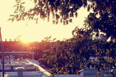 Golden hour on the porch