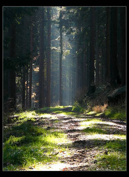 light rays at sunday