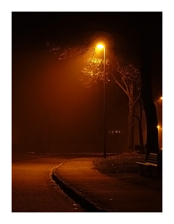 light rays in fog