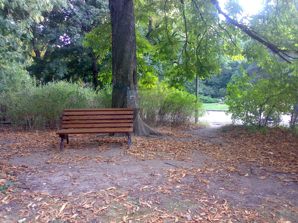 A quiet spot in the park